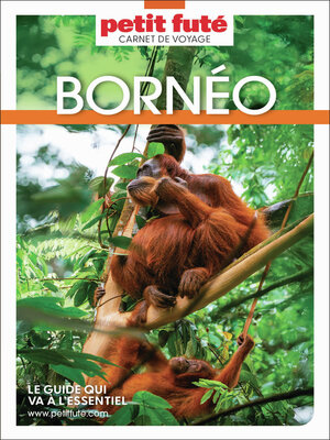 cover image of Guide Bornéo 2026 Carnet Petit Futé